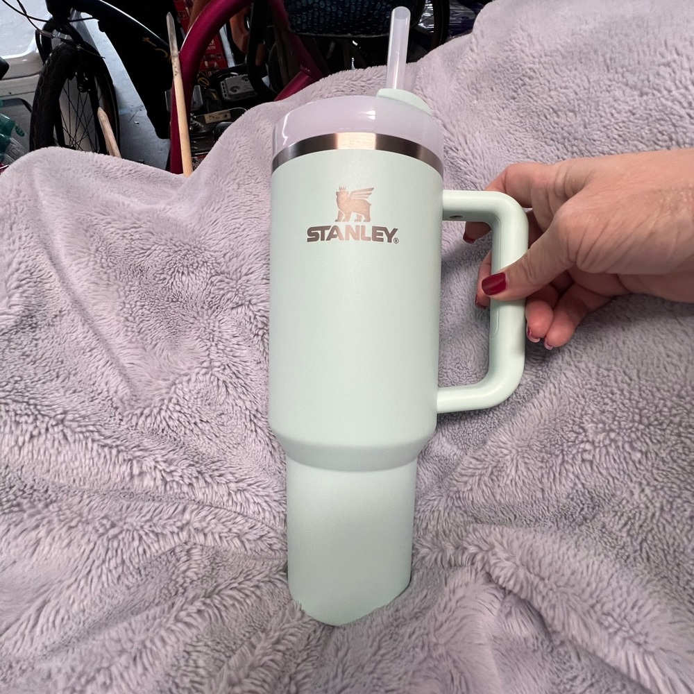 Stanley Pastel Green Mug with Handle